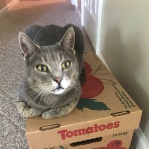 Meet your Posher, Carole